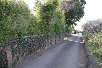 大雄山荘跡の前の道