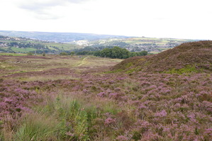 �ҡ�����heath��