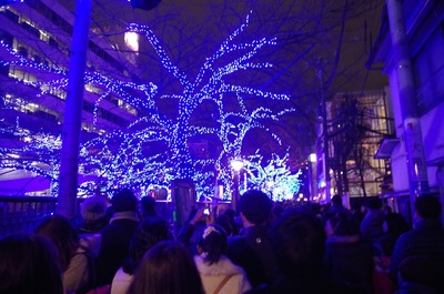 �Ĥ�ƶ���򸫤��