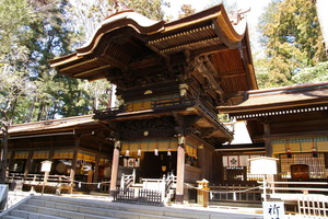 ���ҽ�������