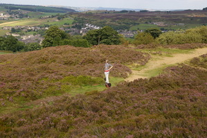 �̤ν�����