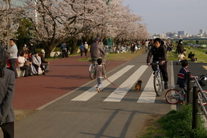 ��­�ξ�ǯ��