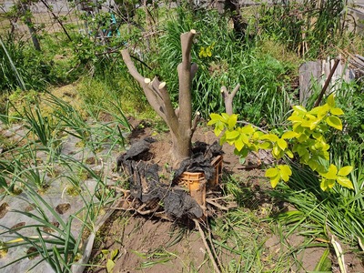 ���Ф���λ