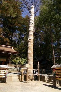 ���ҽ��ܰ�Ƿ����