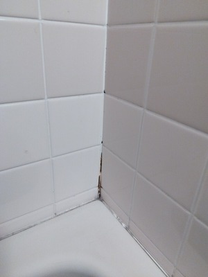 ビフォー
