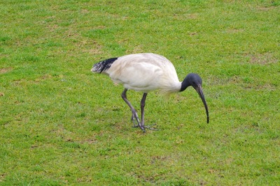 �������ȥ�ꥢ�����ȥ�