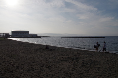 合浦公園の海岸