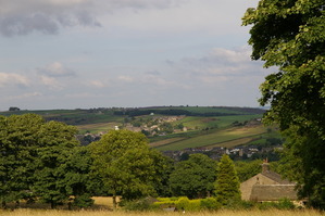 �ı�����