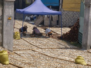 干物とおばさん(1024x768)