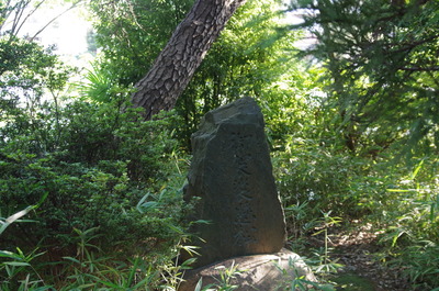 �����ݤξ���