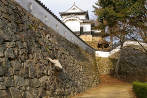 ���澾���룹