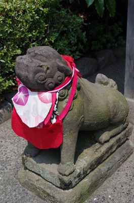 浅草寺恵日須大黒天堂の狛犬(左)