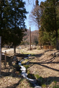 ���Ⱦ�����ܻ�Ƿ����