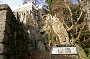 ���澾���룷