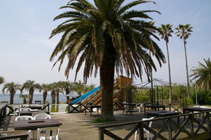 �ե��ѡ�����