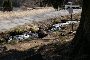 ������ܤθ������ʿ���