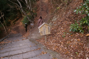 ���澾���룲