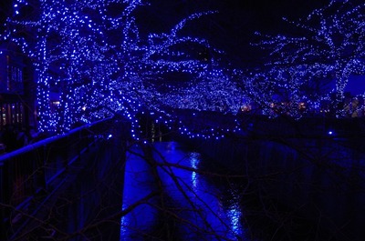 ���ܹ��Ĥ�ƶ��1