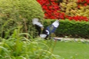 ����������