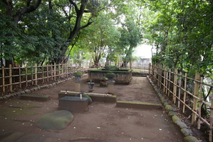 ���ý�����