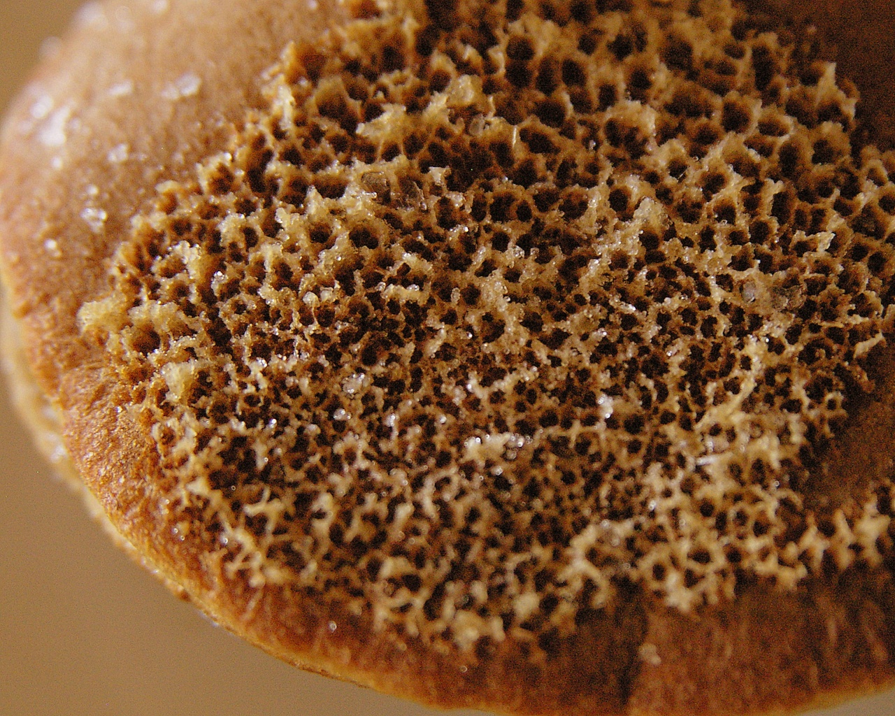 今月の壁紙 やた管ブログ