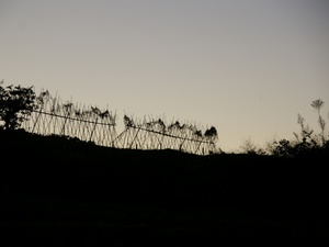 Ȫ��1024��768��