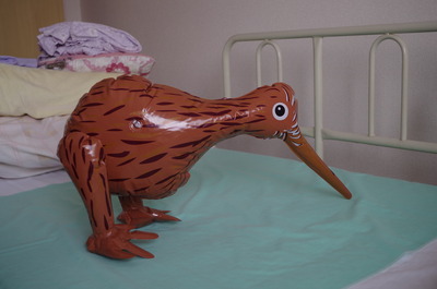 kiwi