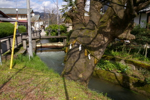 ����ȵ���