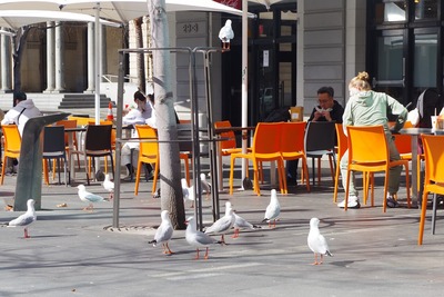 �ҥå����å���