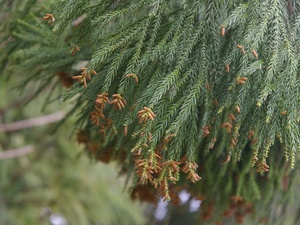 �����β�(1024x768)