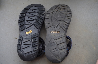 TEVA����