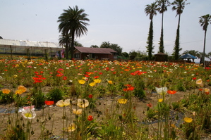 �ե��ѡ�����