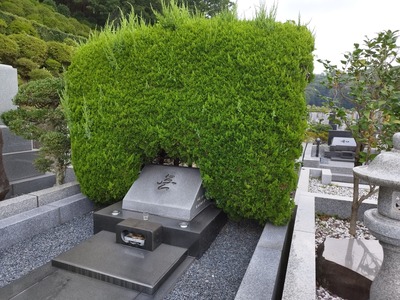 ����ͥ�����