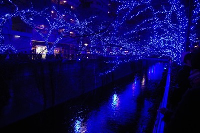 ���ܹ��Ĥ�ƶ��2