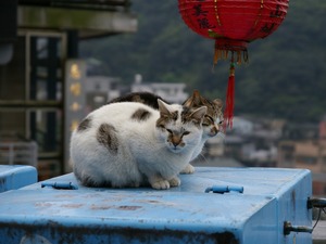 ��ե�ͥ���1024x768��