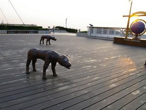 �ڸ���1024��768��