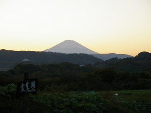 �����ж��դ�����ٻλ���1024��768��