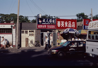 成人保険
