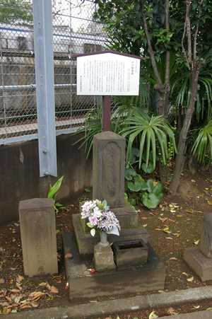 ����ճ���