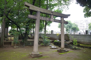 ���п�ʥ�裱