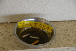 ここにしてください