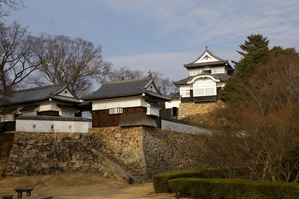 ���澾���룸