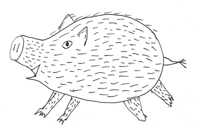 いのしし1