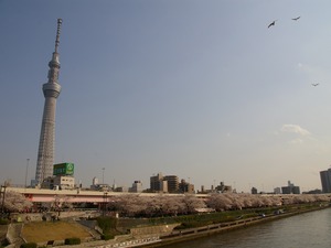 �������ĥ꡼(1024x768)