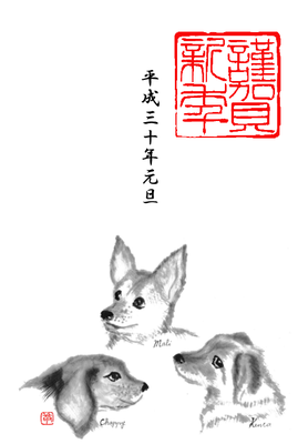 29nenga