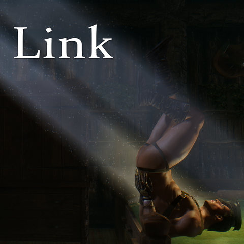 Link_02