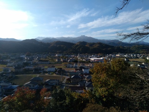 IMG_20201115_080323