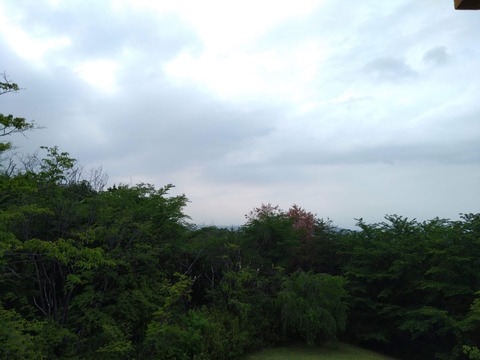 IMG_20200512_154642