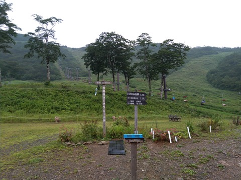 IMG_20200809_082852_1