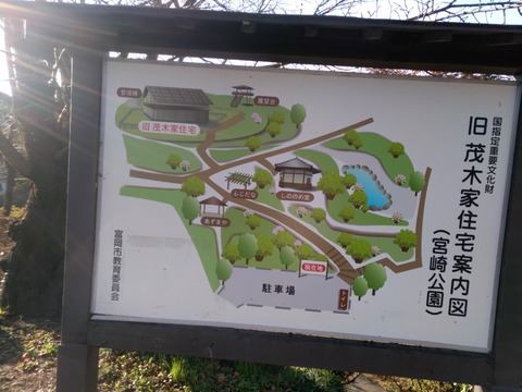IMG_20201115_080543